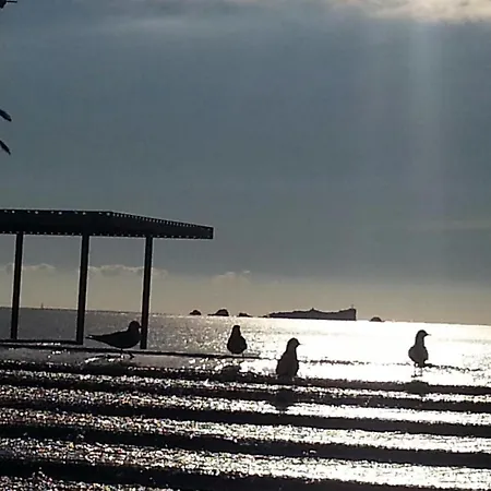 T2 Vue * Fréjus